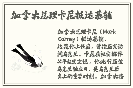 陌颜app最新版怎么看